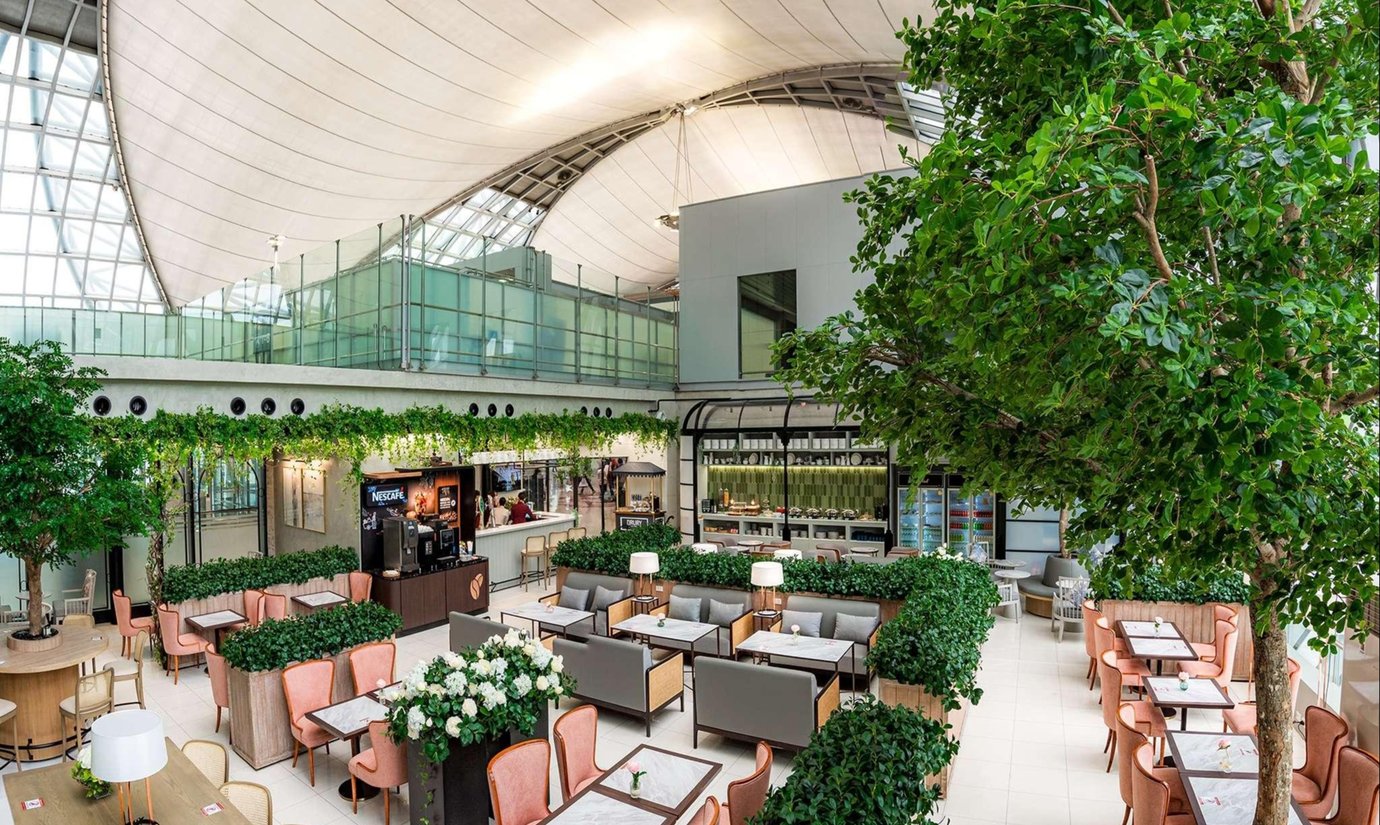 The Coral Executive Lounge at Bangkok Suvarnabhumi Airport showcasing modern seating, lush greenery, coffee bar, and bright open design.