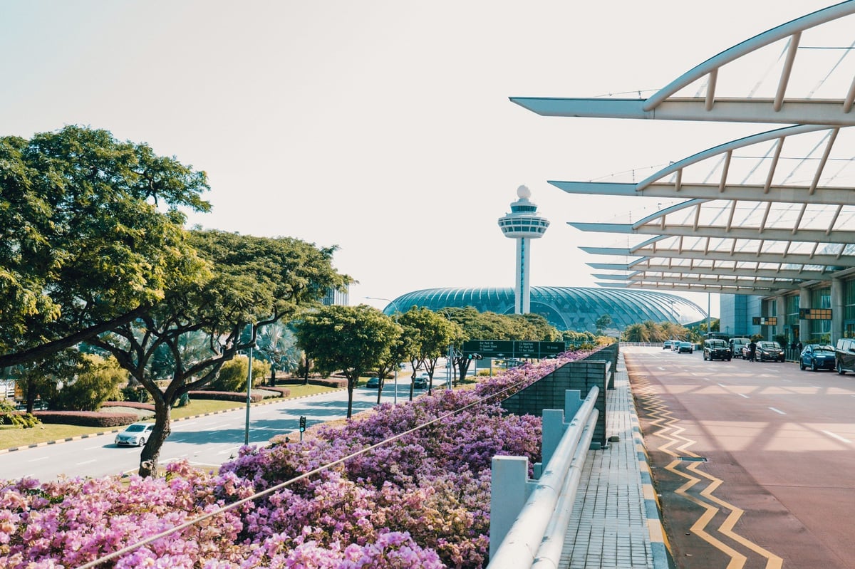 Exterior view of Singapore Changi Airport with blooming pink bougainvillea flowers, lush greenery, and the iconic control tower in the background.