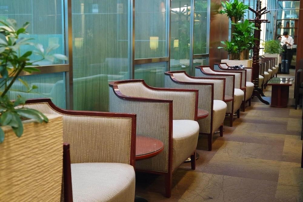 Row of armchairs with side tables and greenery inside the KrisFlyer Gold Lounge at Singapore Changi Airport Terminal 3, offering a cozy seating area.
