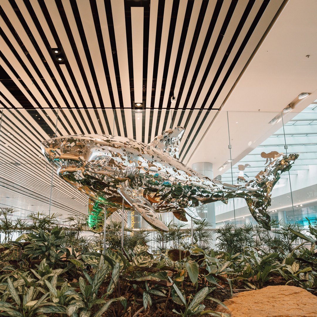 Shimmering metallic shark sculpture at Changi Airport Terminal 4 surrounded by greenery, part of the airport’s art installations.