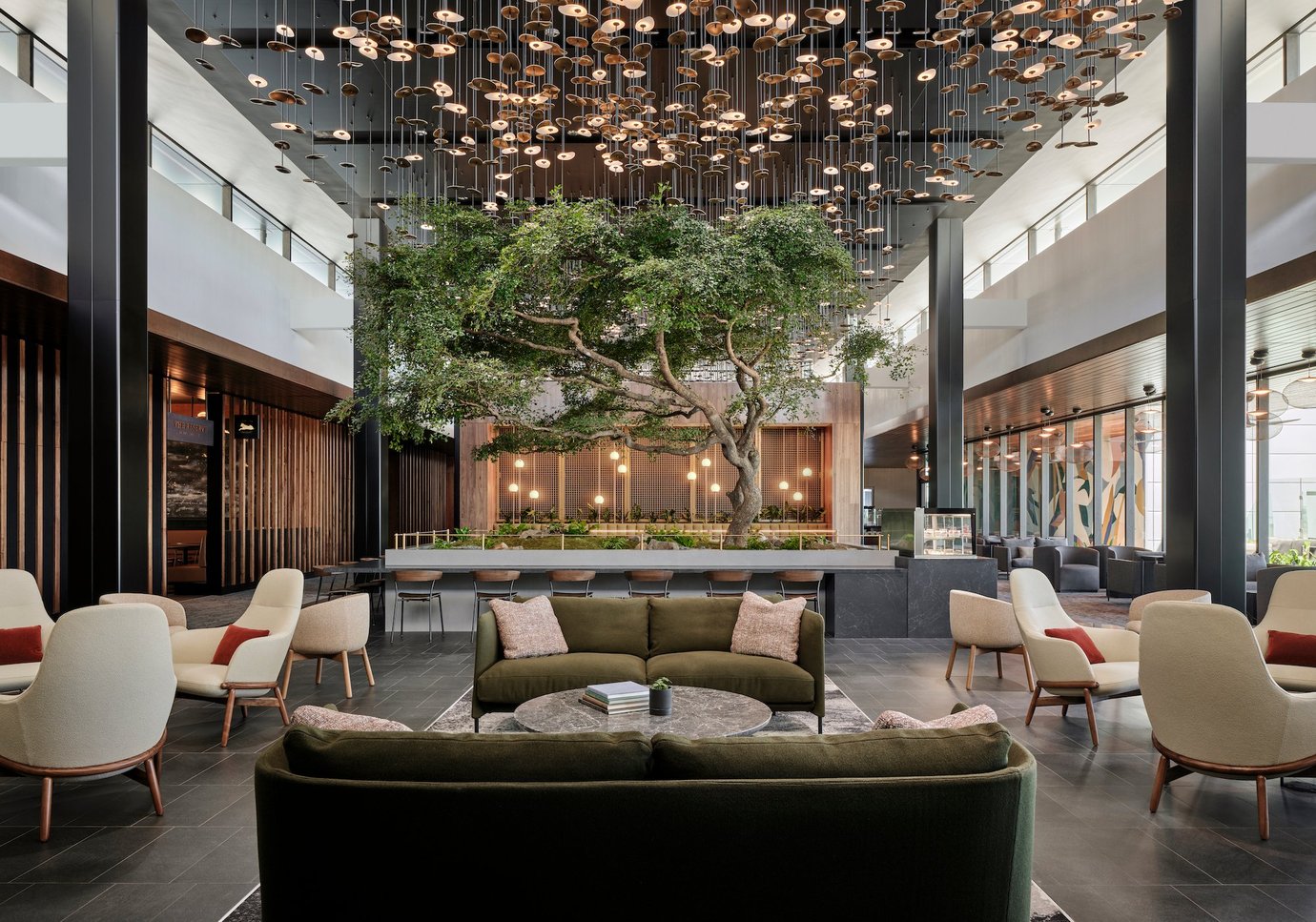 American Express Centurion Lounge Atlanta American Express Centurion Lounge Atlanta