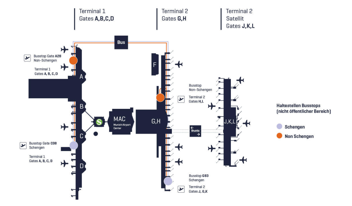 Diagramm mit der Terminalaufteilung und den Transfermöglichkeiten am Flughafen München
